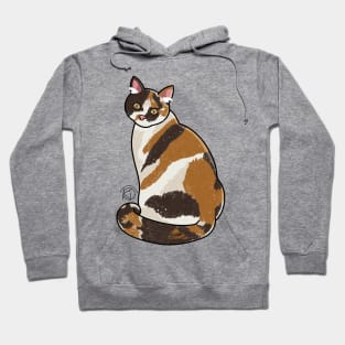 Calico Kitty Hoodie